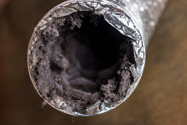 Professional Airduct Cleaning in Mowbray Mountain, TN